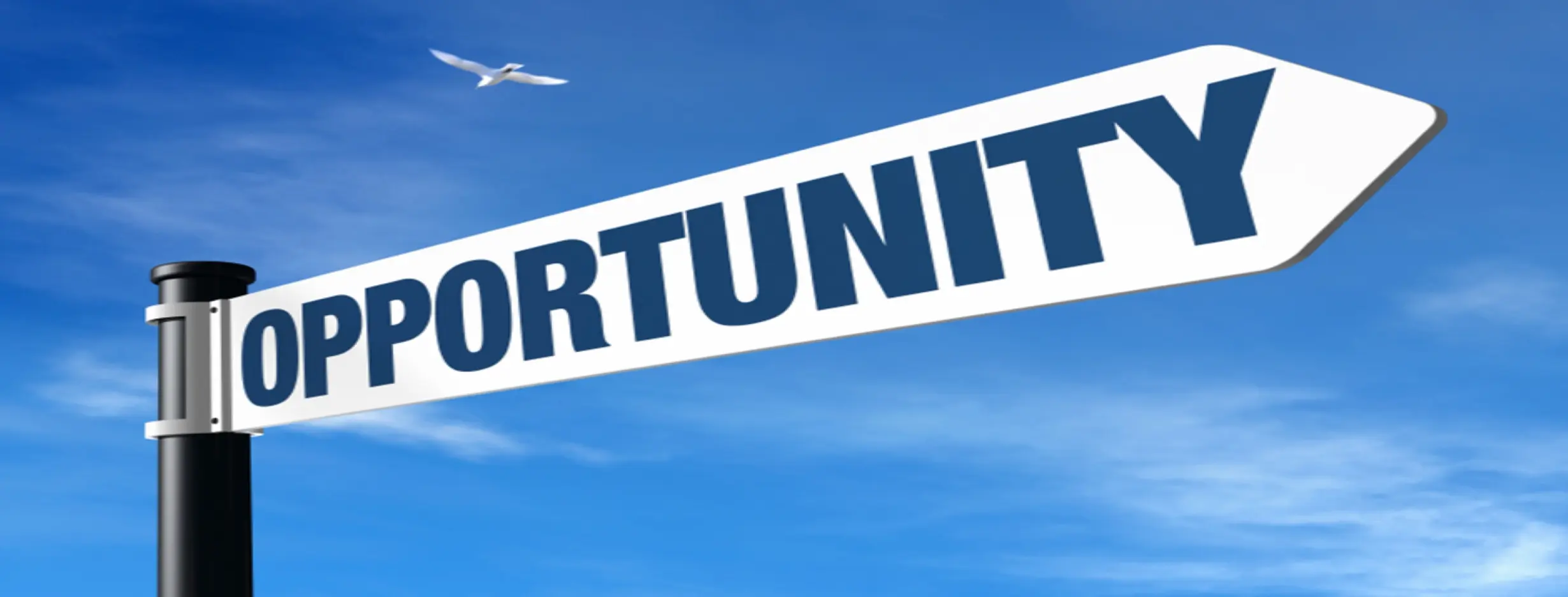 Image for Economic Opportunity
